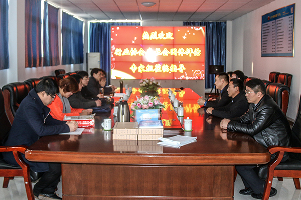 Warmly Welcome Jining Civil Affairs Bureau Industry Association of Social Organization Assessment Panel to Visit Jining E-commerce Association for Evaluation