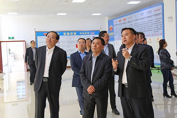 Warmly Welcome Hebi Municipal Party Committee Secretary Fan Xiufang And Mayor Guo Hao To Visit China Coal Group For Inspection