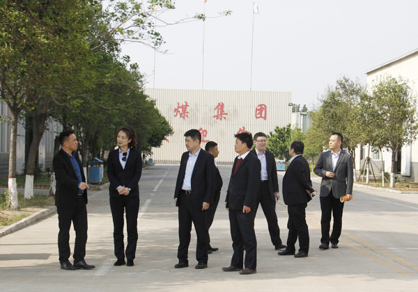 Warmly Welcome Rizhao Bank Leadership To Visit China Coal Group