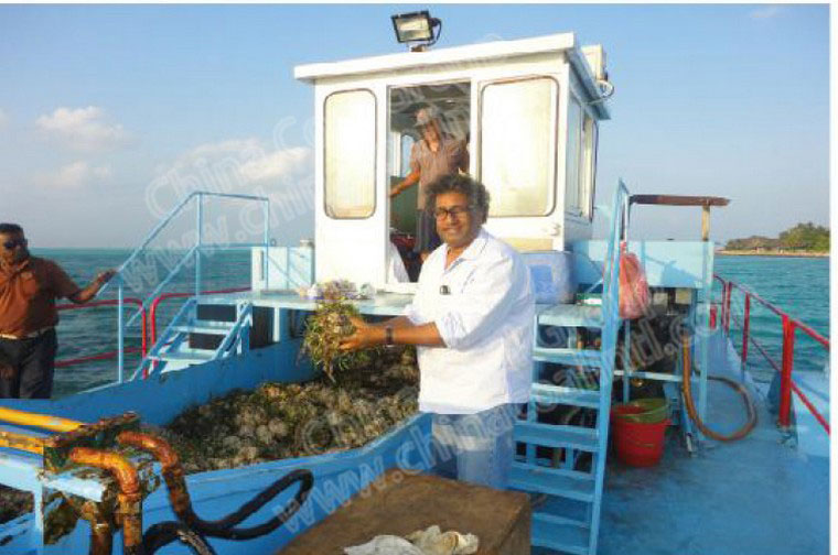 Seabed Aquatic Plant Harvester
