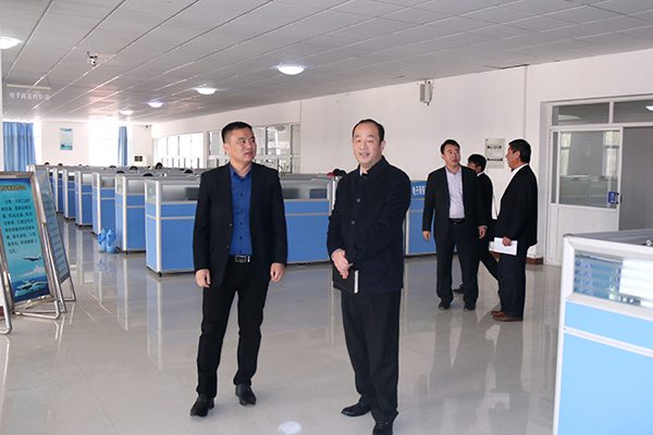 Warmly Welcome Beidou Industry Platform Director Luo To Visit China Coal Group For Inspection