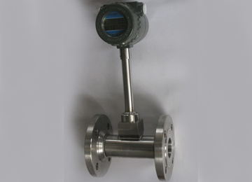 DN50 Liquid Mass Flow Meter