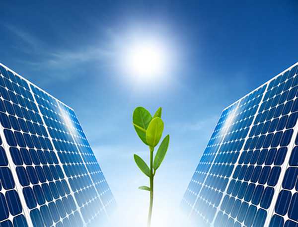 China to promote healthy development of solar industry