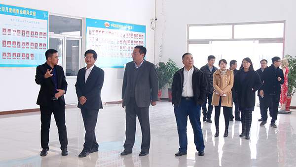 Welcome the Leadership from Siemens (China) Co., Ltd to Visit Shandong China Coal Group for Investigation