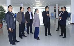 Warmly Welcome the Leaders of Jining High-Tech Zone and Taibai Lake Zone to Come to Visit China Coal Group