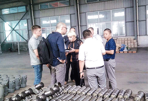 Custom Visit of Rail Retarder Dowty Retarder