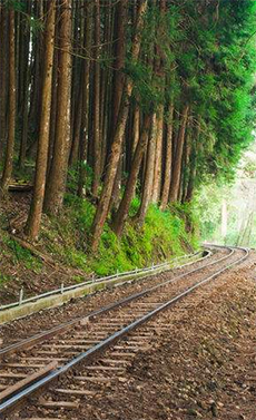 CJY Overhead Line