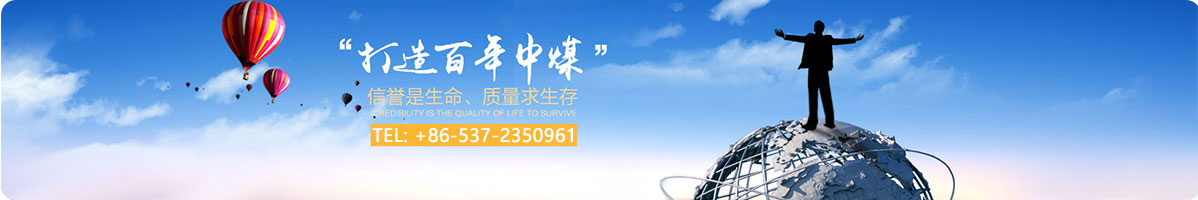 Shandong China Coal Industry & Mining Group Co.,Ltd.