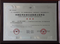 China Credit Enterprise Certification System Demonstration Unit