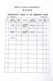 National inspection report