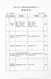 National inspection report