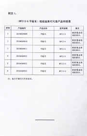 National inspection report
