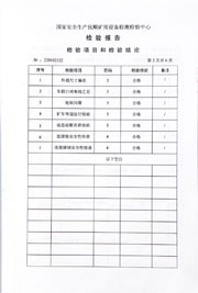 National inspection report