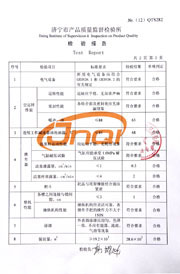 Municipal inspection report