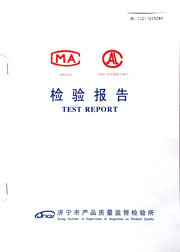 Municipal inspection report