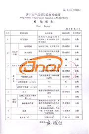 Municipal inspection report