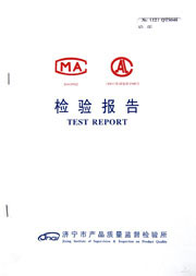 Municipal inspection report