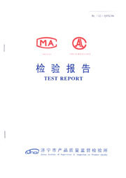 Municipal inspection report