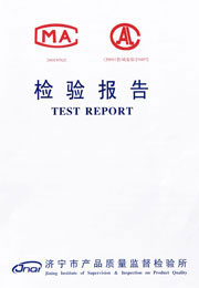 Municipal inspection report