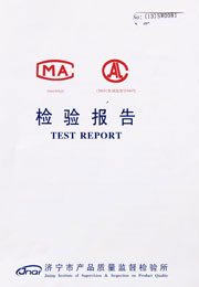 Municipal inspection report