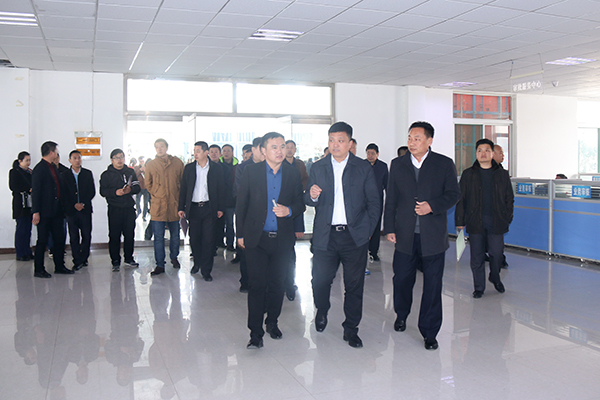 Warmly Welcome Delegation From Shuangyang Town, Zichuan District Of Zibo City To Visit China Coal Group For Inspection