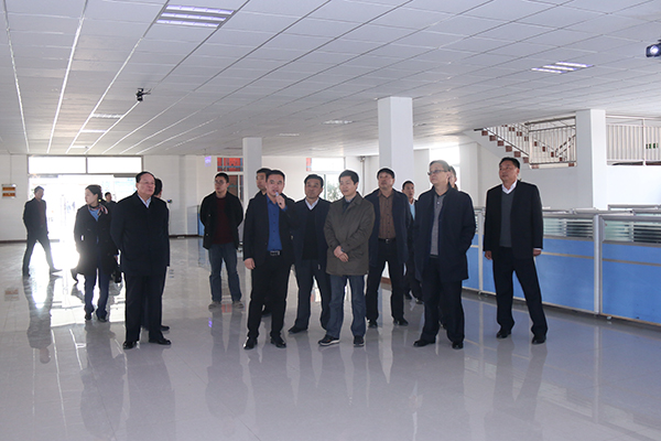 Warmly Welcome Leaders of Ministry of Industry and Information Technology (MIIT) to Visit China Coal Group For Guiding