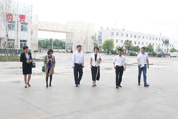 Warmly Welcome Leadership of City Center for Educational Technology to Visit China Coal Group for Inspection