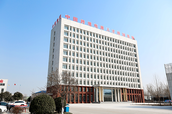 Jining City Industrial and Information Commercial Vocational Training School Building