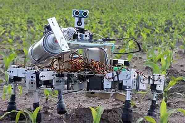 Unmanned Farm Concept Rising   Agriculture Robot Bred New Blue Sea