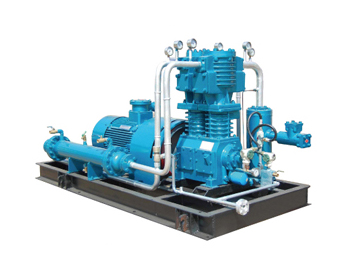 Hydrogen Gas Compressor