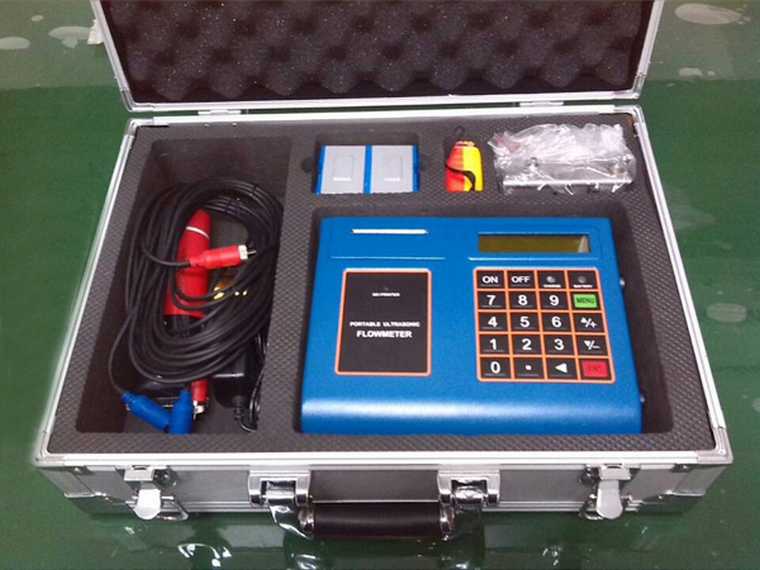 Portable ultrasonic flowmeter