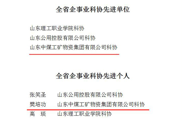 Warmly Congratulate China Coal Group Winning The Honor Of Shandong Provincial Enterprises And Institutions Science And Technology Association Advanced Unit 