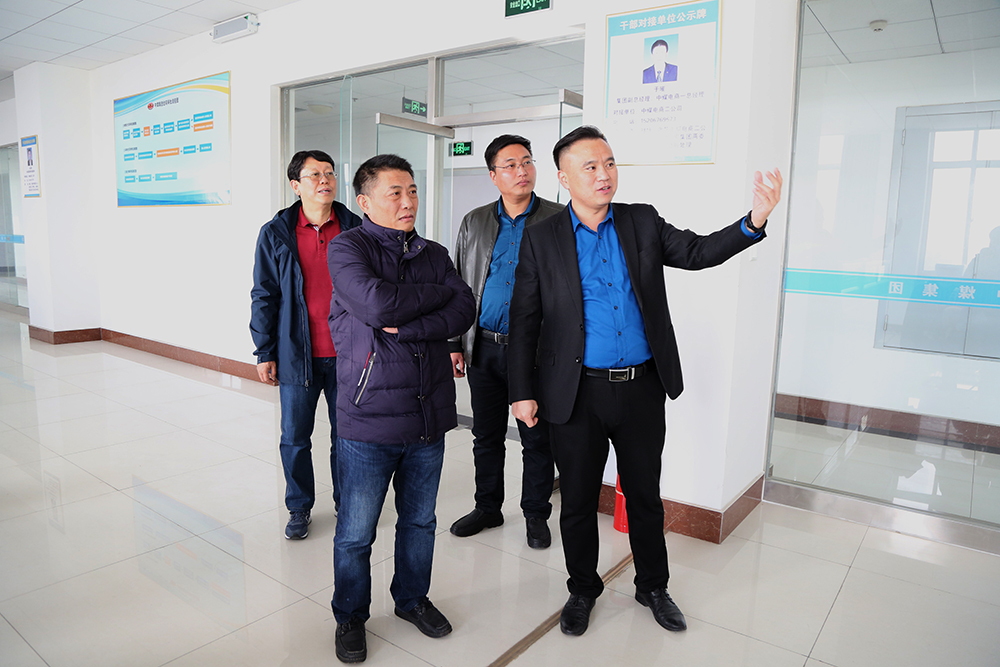 Warmly Welcome The National Coal Safety Expert Group To Visit The China Coal Group On-Site Review