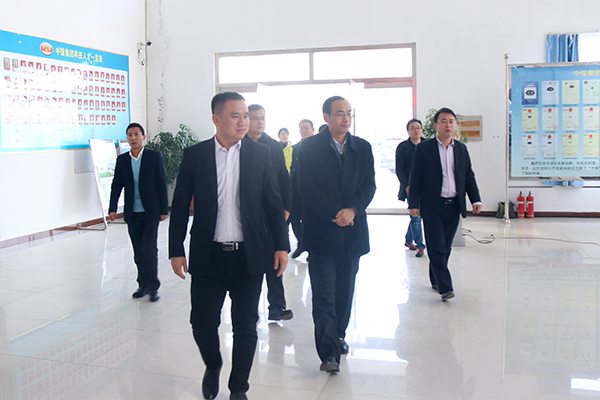 Director Li of Tai'an Municipal Research Department Visited China Coal Group For Investigation
