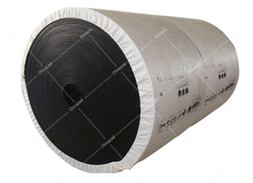 Nylon Conveyor Belt