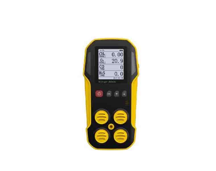 Biogas detector