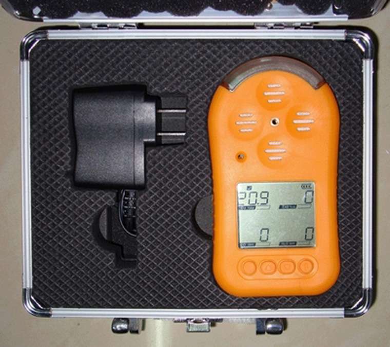 Portable multi-gas detector KT602